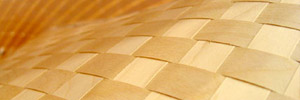 Material Vision 2005