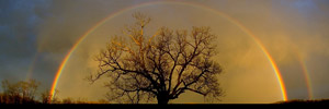 Cool photography