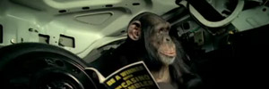 TrunkMonkey