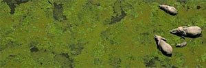 Michael Poliza aerial photography